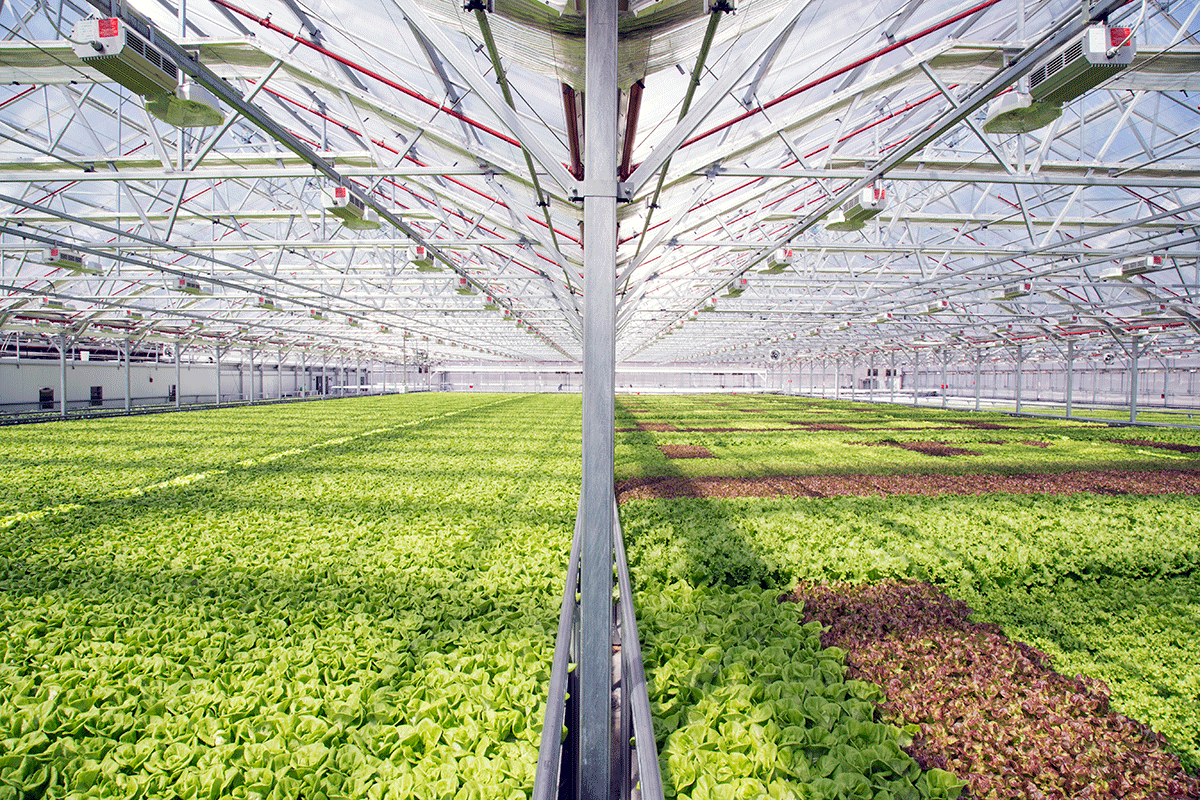 Al-Ghanim Agriculture Group | BWRO