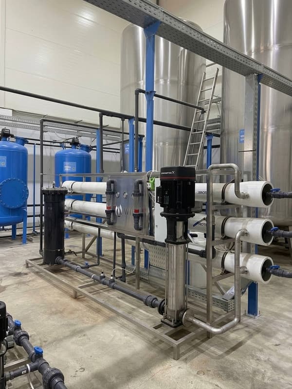 Future of Egypt Dried Onion Factory | BWRO